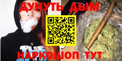 крисы Краснознаменск