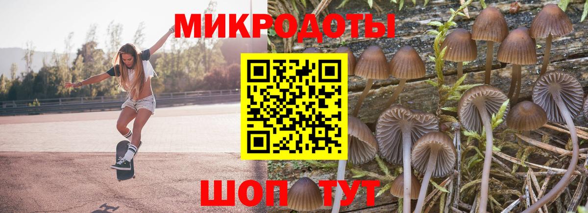 Галлюциногенные грибы Magic Shrooms Елабуга