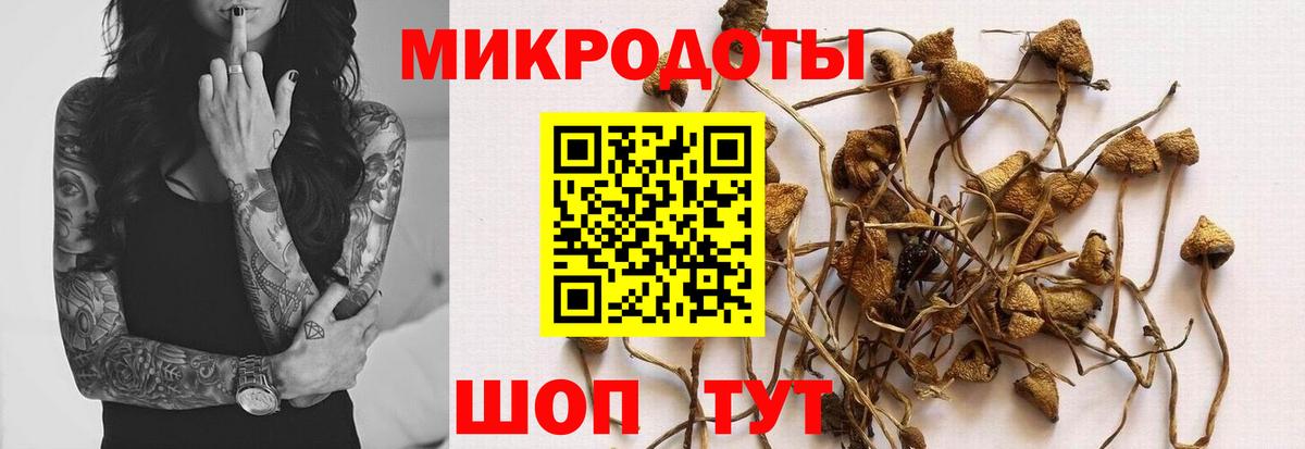 Псилоцибиновые грибы мухоморы  Вход с VPN  Елабуга 